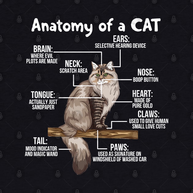 Funny Anatomy Of A Cat - Cute Funny Kitty Kitten Feline Pet Lover by Jason Smith